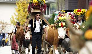 Picture of a parade on the occasion of the Älplerfest Lenk
