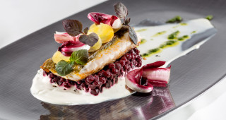 Bild eines Hauptganges im Restaurant Oh de Vie