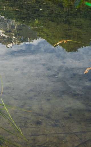 Lenker Wohlfühlmoment