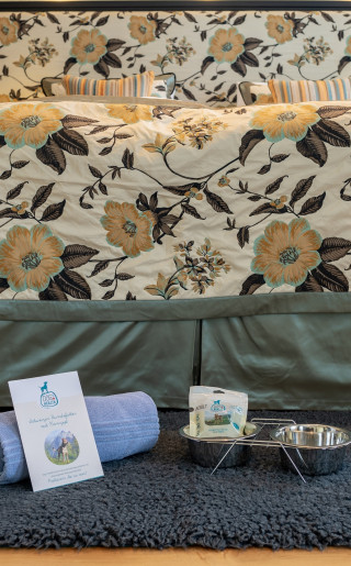 Commodités pour chiens dans la chambre