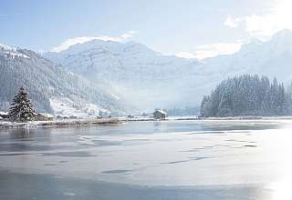 Lenkerseeli