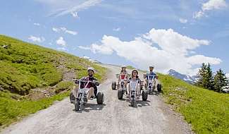 Mountain Carts