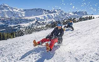 Faire de la luge sur le Betelberg