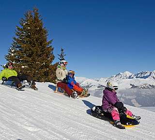 Family sledging in the snow