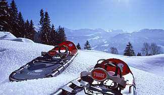 Snowshoes