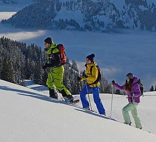 Snowshoe hike