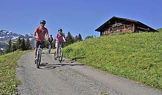 Mountain biker on an Alpine path