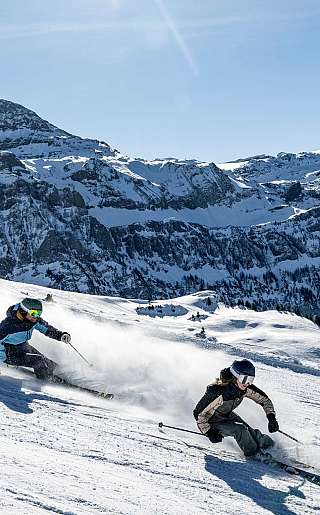 Skiing Winter