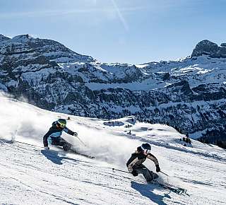 Skiing Winter