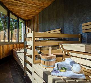 Modern sauna with wooden fittings