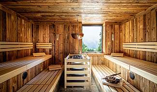 Wooden sauna with window