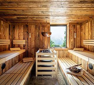 Wooden sauna with window
