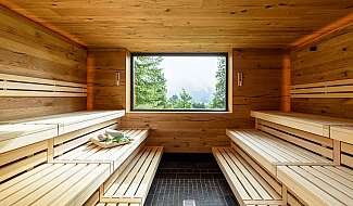 Wooden sauna with window