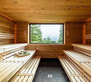 Wooden sauna with window