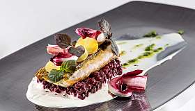 Gourmet fish dish on a plate