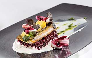 Gourmet fish dish on a plate
