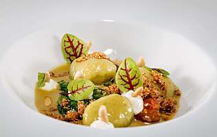 Finely plated gourmet dish