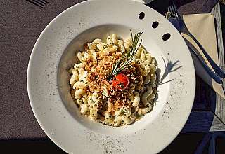 Pasta on a white plate