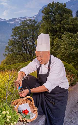 Le cuisinier récolte des herbes dans le jardin