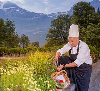 Le cuisinier récolte des herbes dans le jardin