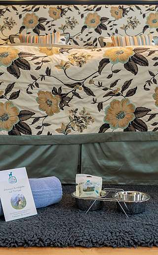 Patterned bed with dog accessories