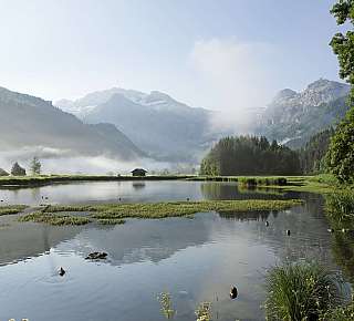 Paysage alpin avec lac